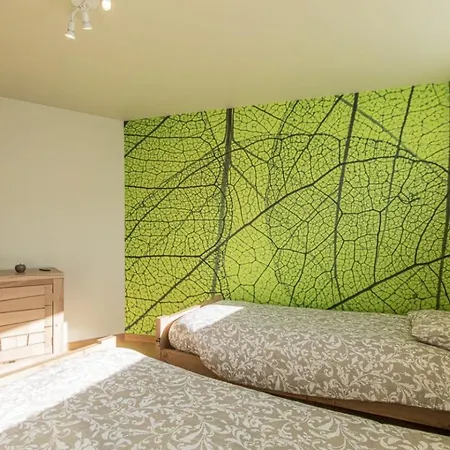 Au Bailet Holiday home Gedinne